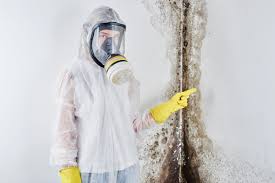 Best Commercial Mold Inspection  in Shannondale, WV